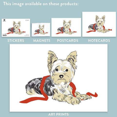 RAN-25 Yorkie and Red Ribbon