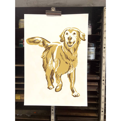 RAN-58 Golden Retriever, Running
