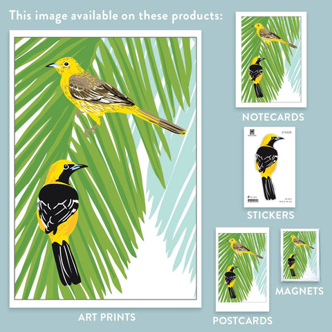 RBI-149 Hooded Orioles & Palm Tree