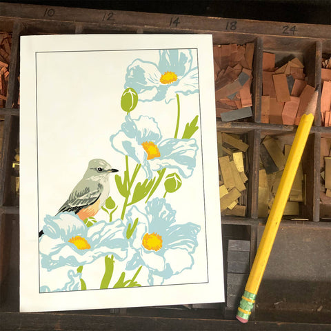 RBI-151 Says Phoebe & Matilija Poppy