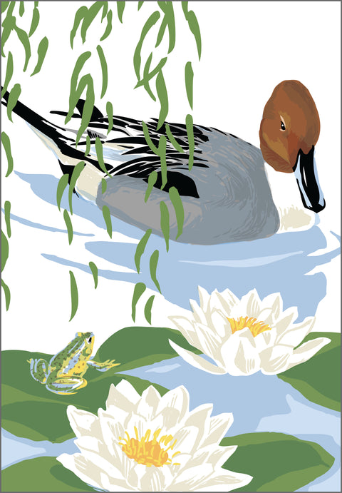 RBI-9167 Pintail, Frog, and Water Lilies