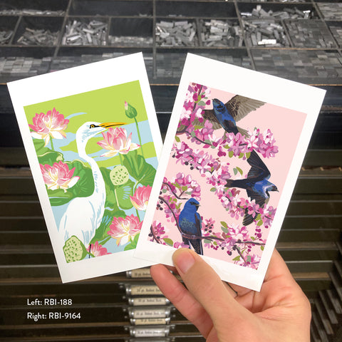 RBI-9164 Purple Martins and Cherry Blossoms