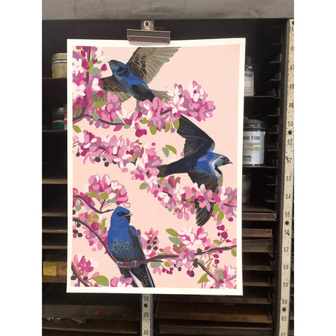 RBI-9164 Purple Martins and Cherry Blossoms