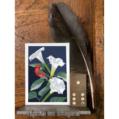 RBI-9165 Vermilion Flycatcher and Datura