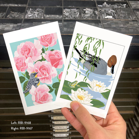 RBI-9168 Yellow-Rumped Warbler and Roses