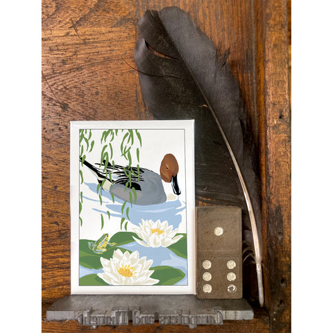 RBI-9167 Pintail, Frog, and Water Lilies