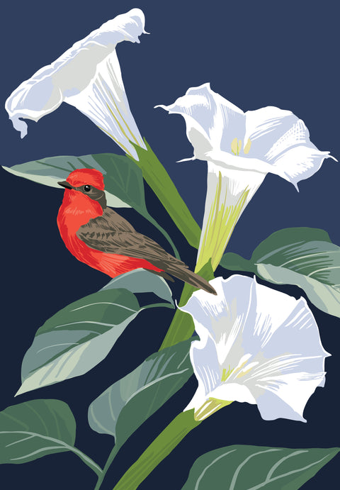 RBI-9165 Vermilion Flycatcher and Datura