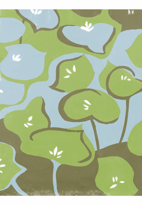RFL-304 Miner's Lettuce