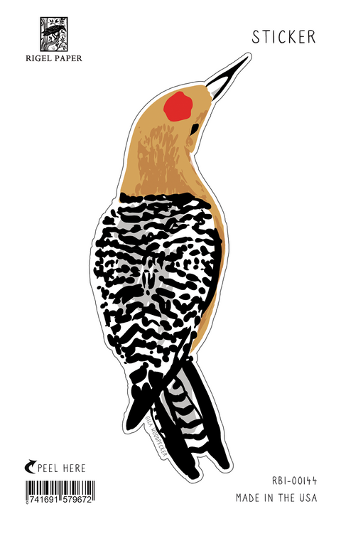 RBI-144 Sticker: Gila Woodpecker