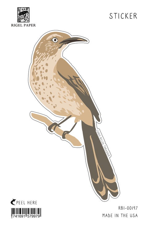 RBI-197 Sticker: Curve Billed Thrasher