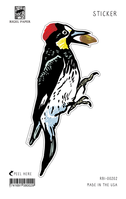 RBI-202 Sticker: Acorn Woodpecker