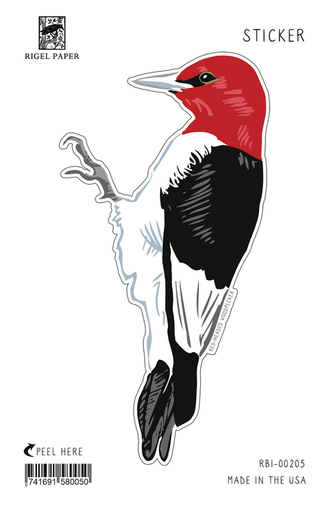 RBI-205 Sticker: Red-headed Woodpecker