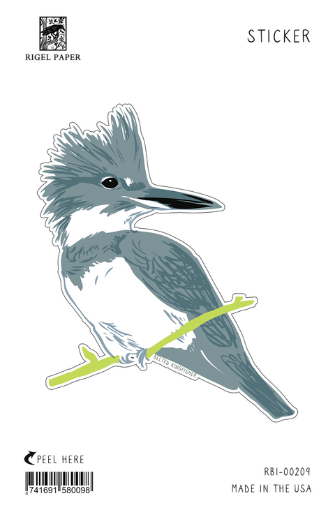 RBI-209 Sticker: Kingfisher