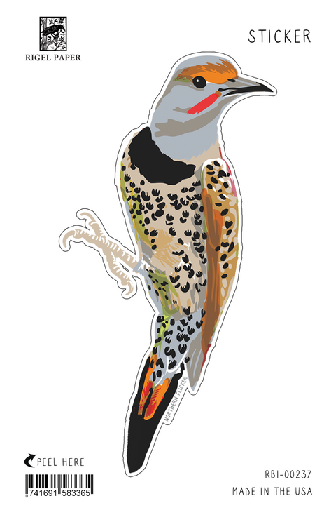 RBI-237 Sticker: Northern Flicker