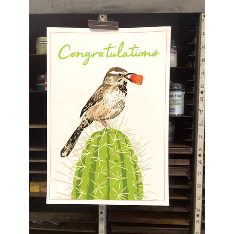 RCO-56 Cactus Wren - You Did It