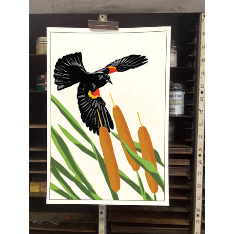 RBI-191  Red-winged Blackbirds and Cattails