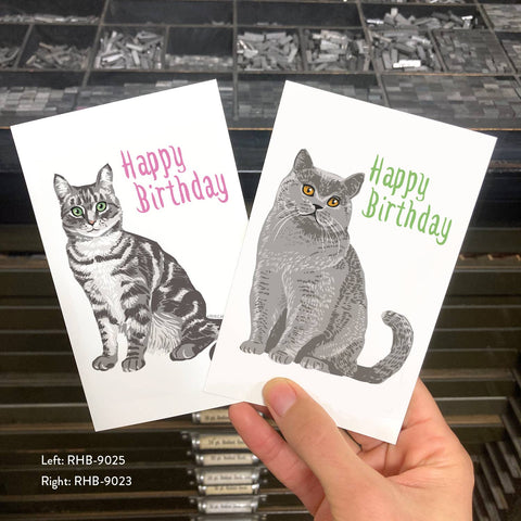 RHB-9025 Happy Birthday American Shorthair Cat