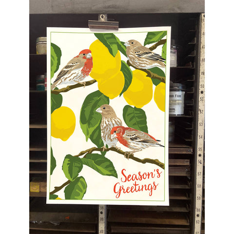 RHO-224 House Finches & Lemon Tree - Season's Greetings