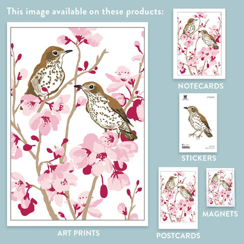 RBI-132 Wood Thrushes & Cherry Blossoms