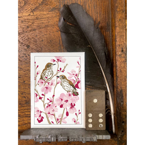 RBI-132 Wood Thrushes & Cherry Blossoms