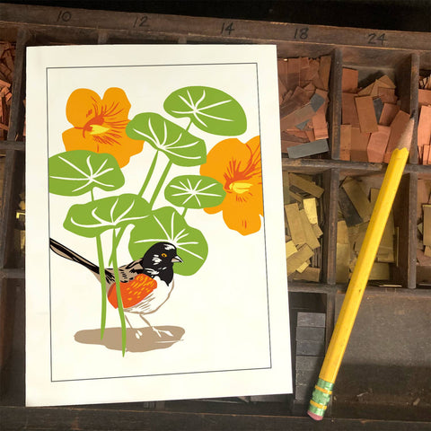 RBI-58 Nasturtium and spotted towhee