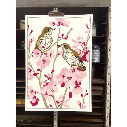 RBI-132 Wood Thrushes & Cherry Blossoms