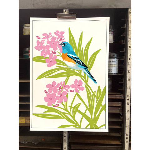 RBI-123 Oleander & Lazuli Bunting