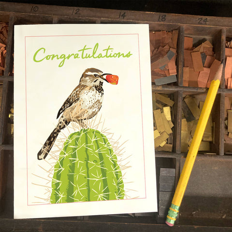 RCO-56 Cactus Wren - You Did It