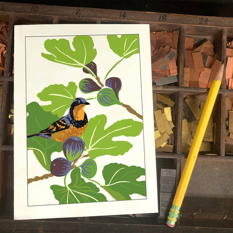 RBI-142 Varied Thrush & Figs