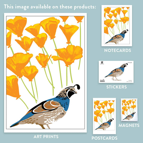 RBI-55 Quail and California Poppy