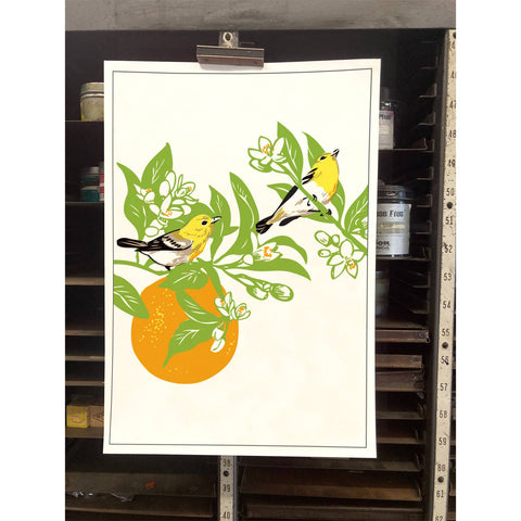 RBI-66 Vireos & Orange Tree