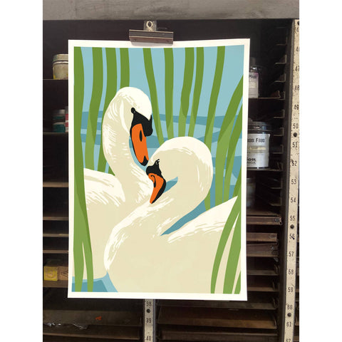 RBI-206 Swans in Reeds