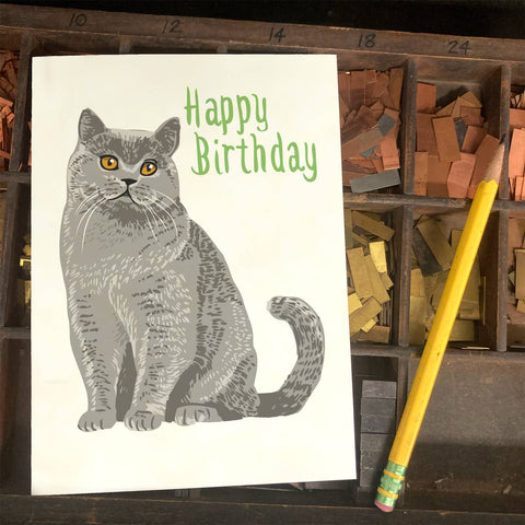 RHB-9023-Happy Birthday British Shorthair Cat