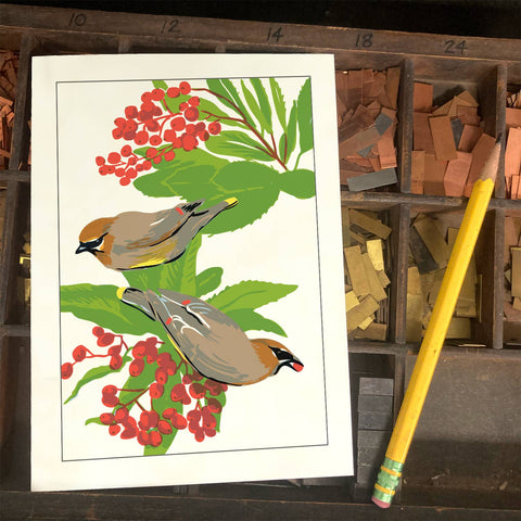 RBI-94 Cedar Waxwing & Toyon