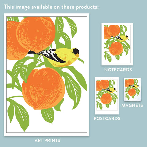 RBI-62 Goldfinch & Peaches