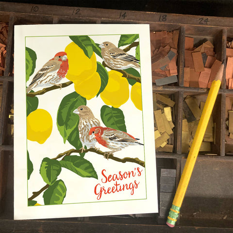 RHO-224 House Finches & Lemon Tree - Season's Greetings