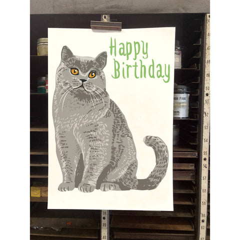 RHB-9023-Happy Birthday British Shorthair Cat