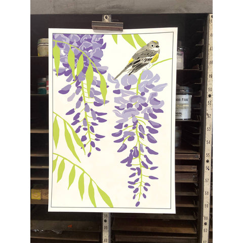 RBI-9137 Wisteria and Yellow Rumped Warbler