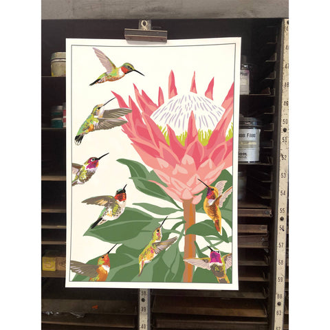 RBI-9151 Hummingbirds and King Protea