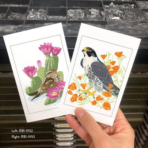 RBI-9153 Peregrine Falcon and California Poppies