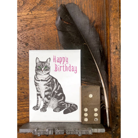 RHB-9025 Happy Birthday American Shorthair Cat