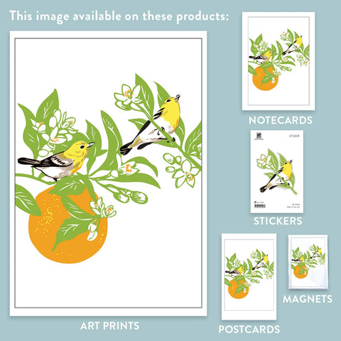 RBI-66 Vireos & Orange Tree