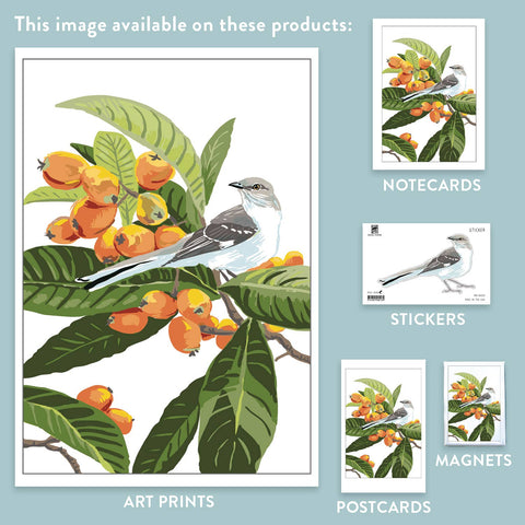 RBI-213  Loquat & Mockingbird