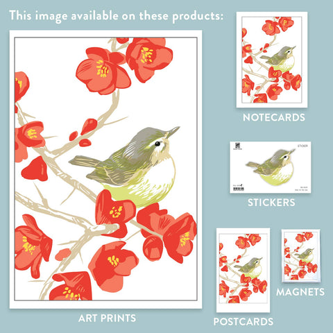 RBI-9139 Flowering Quince Warbling Vireo