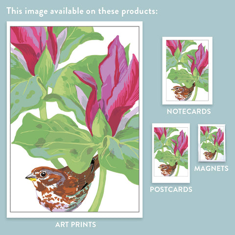 RBI-9140 Fox Sparrow Giant Trillium