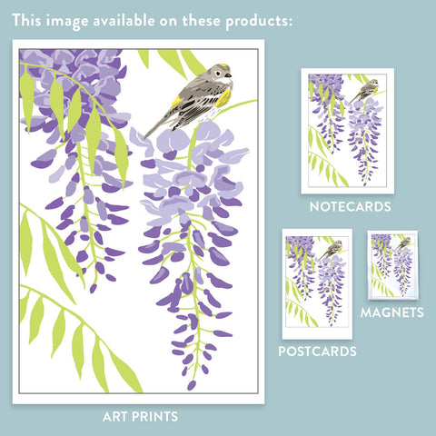 RBI-9137 Wisteria and Yellow Rumped Warbler