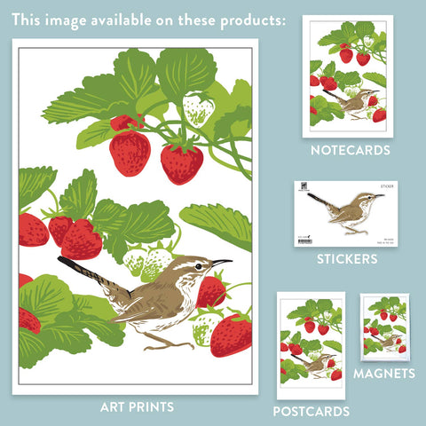 RBI-220  Bewick's Wren & Strawberry