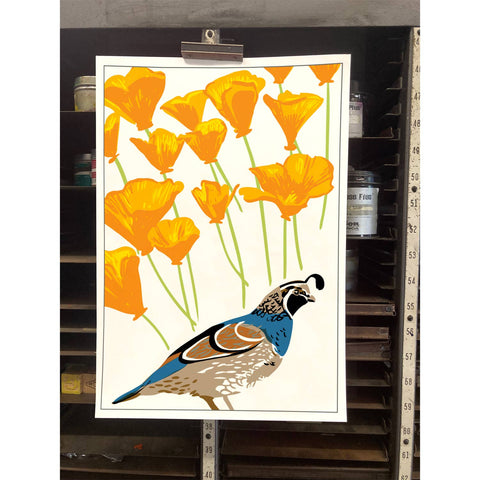 RBI-55 Quail and California Poppy