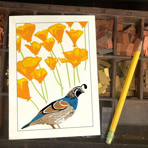 RBI-55 Quail and California Poppy