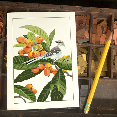 RBI-213  Loquat & Mockingbird